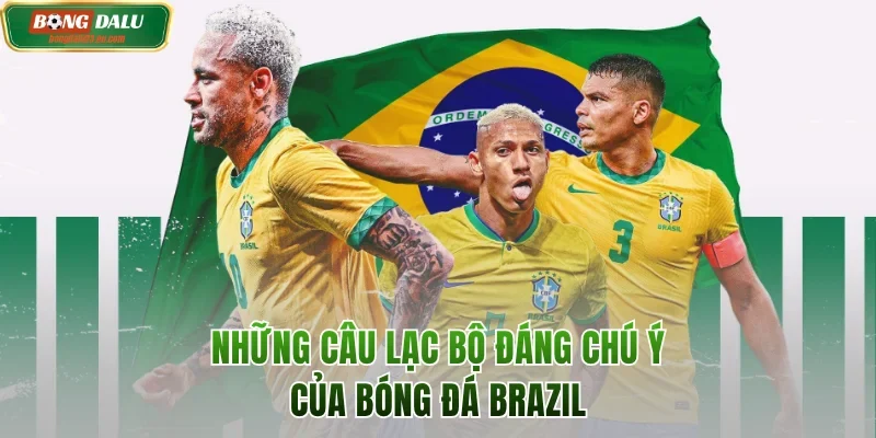 Những sân chơi quốc nội và đội bóng đá Argentina nổi bật